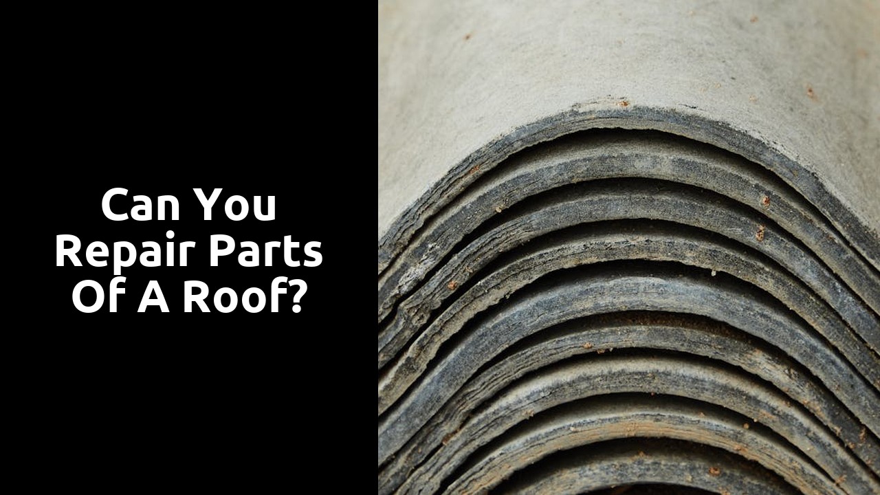 Can you repair parts of a roof?