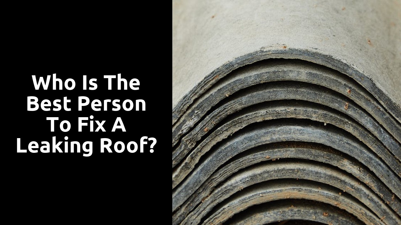 Who is the best person to fix a leaking roof?